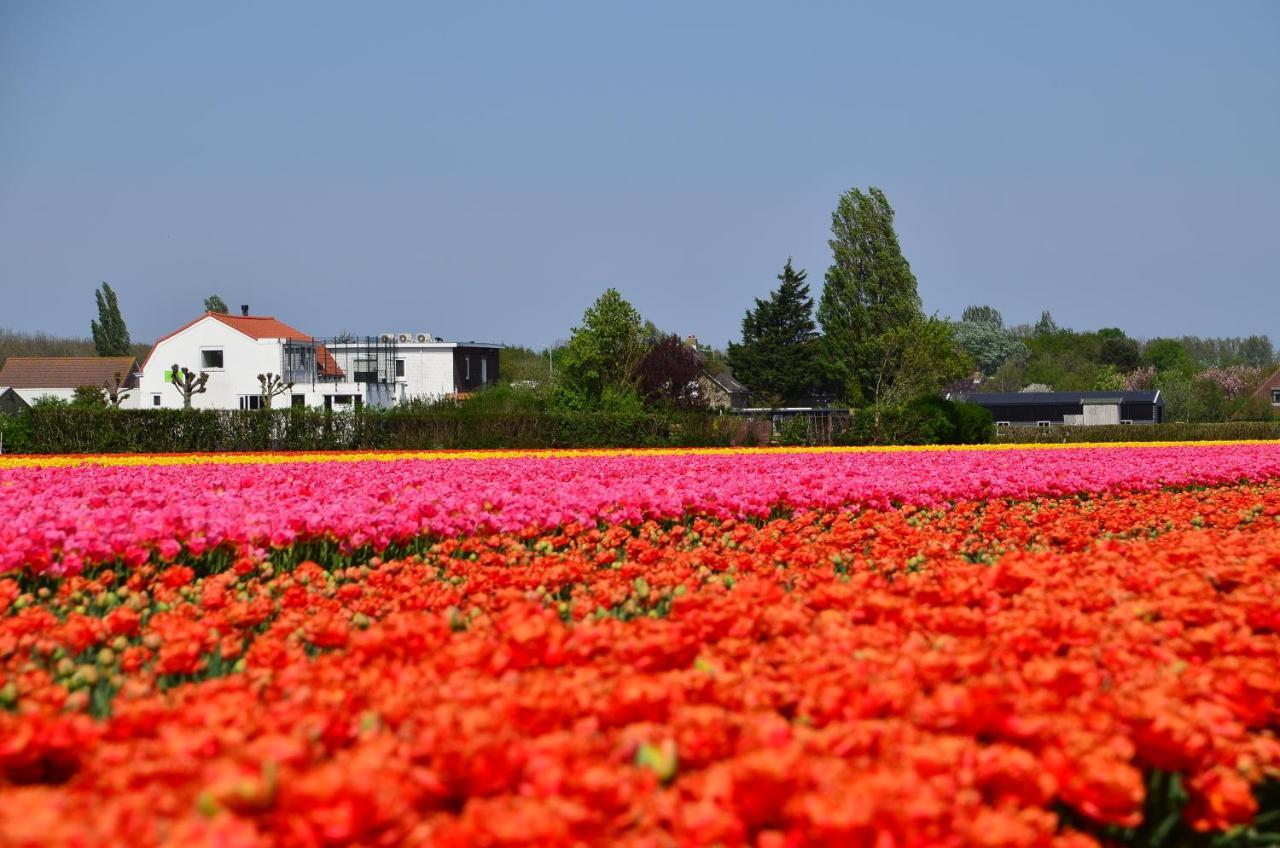 Wellness Bed & Breakfast Pergamo Voorhout Exterior foto